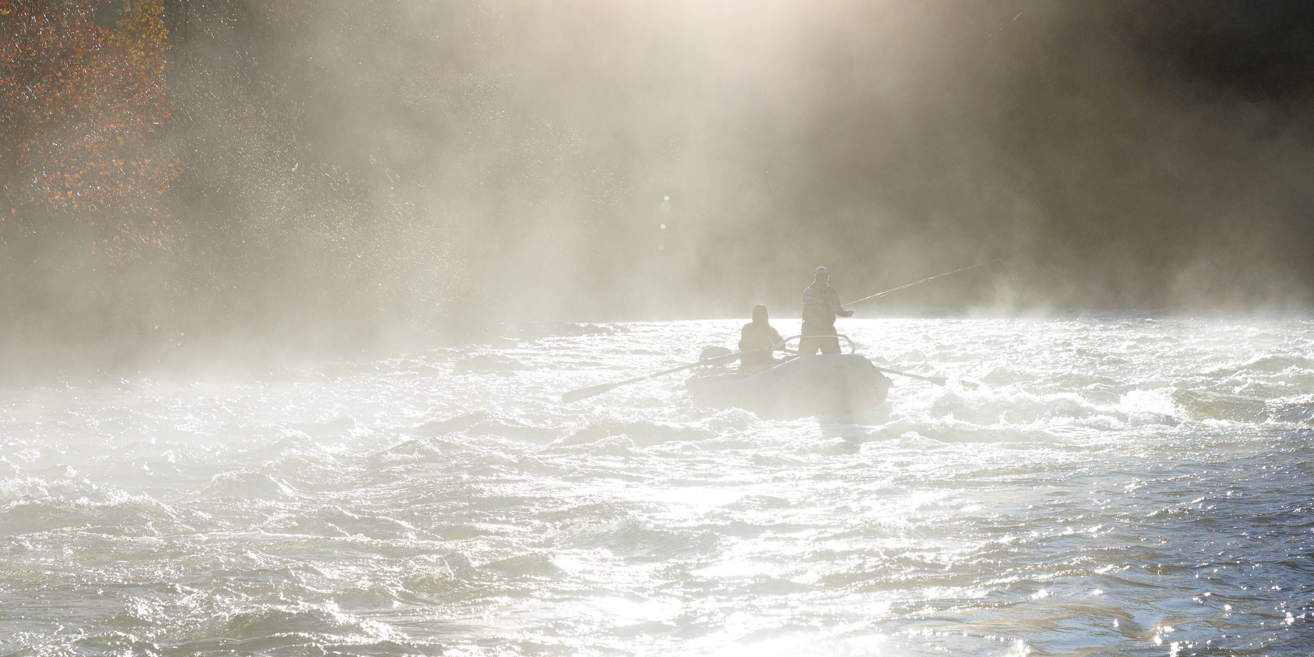 Morning light and fog on the South Fork American River, CA